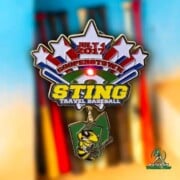 Crystal Blinker Pins CTP Sting Travel Baseball 2017 Trading Pin