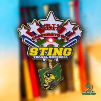Crystal Blinker Pins CTP Sting Travel Baseball 2017 Trading Pin